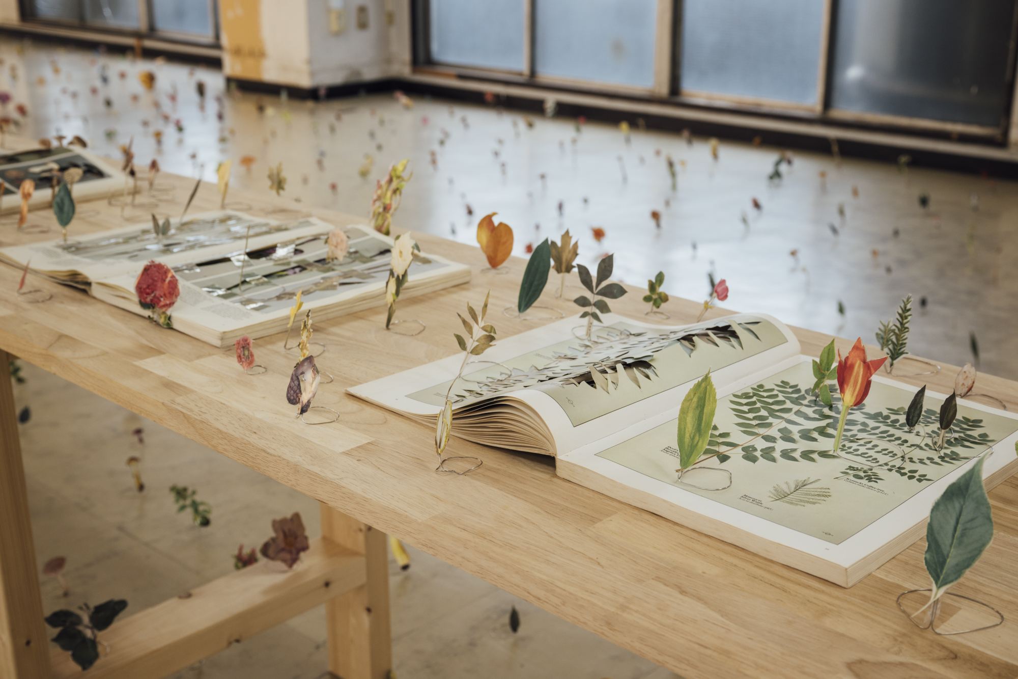 渡辺英司：名称の庭 / エトワール海渡インスタレーション
